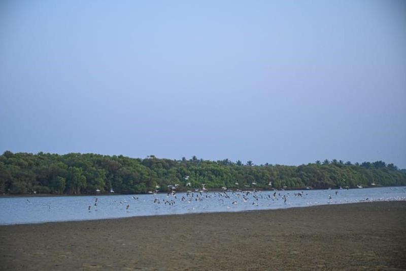 Reunion Ocean Tides Hotell Udupi Eksteriør bilde